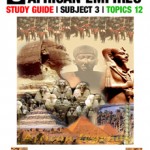 Study 3 African Empires_Icon-230